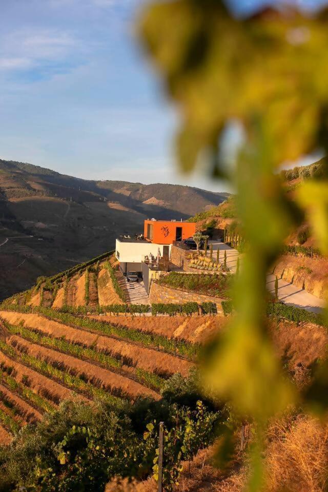 Quinta Vale De Lobos Bed & Breakfast Folgosa  Екстериор снимка